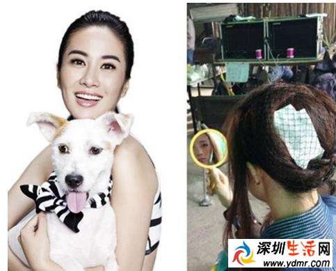 李依晓被谁的狗咬了 叶璇狗咬人事件全过程还原
