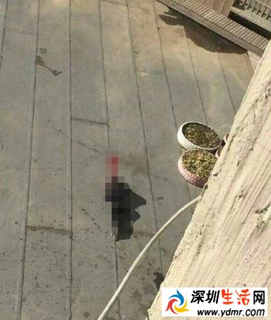 大东区东北大马路国瑞城EA座一女子跳楼身亡 沈阳国瑞城女子跳楼