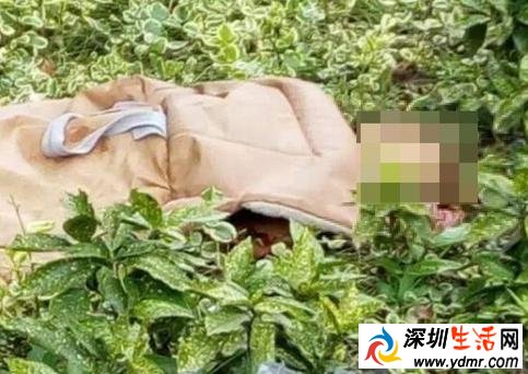 上海浦江镇永康城香樟苑民宅爆炸2人死亡 上海高层民宅爆炸原因
