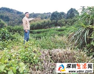 男子性侵半岁侄女仅仅获刑5年 系国内性侵案年龄最小受害人