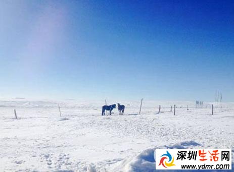 2015年12月14日至16日南方将湿冷加剧 冷空气来袭北方风雪