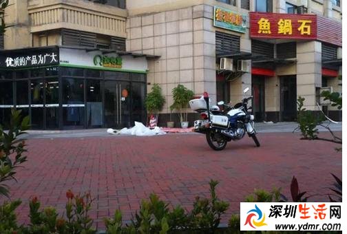 广东佛山禅城张槎保利香槟花园女子携女童坠亡