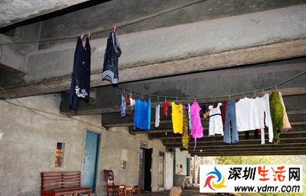 重庆最牛桥底村惊呆网友 高速桥底居住头顶噪音肯定很难受?