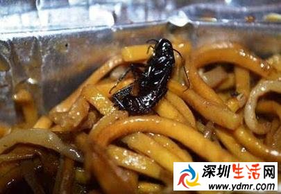 孕妇饭店吃出蟑螂 店主称蟑螂是特色