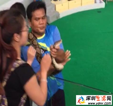 中国女游客在泰国吻蛇被咬鼻子 惊人的现场画面