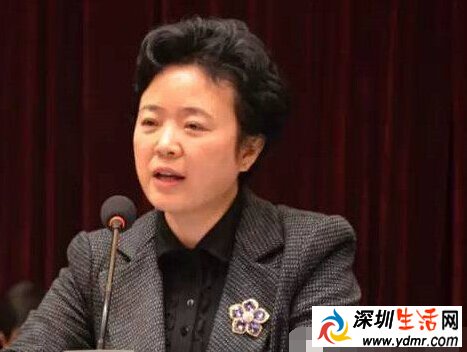李佳是魏宏的女人?四川省长魏宏与李佳是什么关系