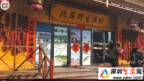 哈尔滨天价鱼举报者失联系问心有愧还是已经遭不测