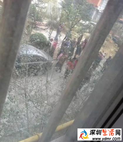 女子疑被困电梯30天活活饿死原因揭秘 为何无人发现
