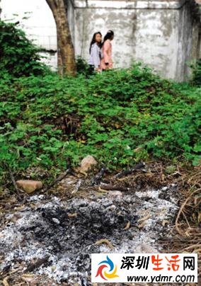 活鸡临死烤着吃能治病?3名男女为治病在树林里手撕活鸡烧烤