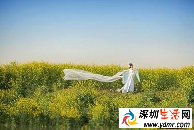 女大学生村官自费拍宣传照 为乡村美景“代言”