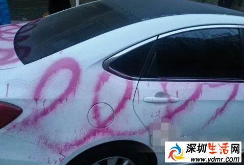 另类求婚:男子给女友爱车彩喷“LOVE”
