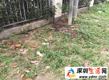 90后女子疑因难产被埋在小区内 曾一天只吃6个馒头