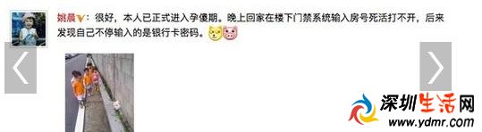 姚晨宣布进孕傻期 孕傻期是什么