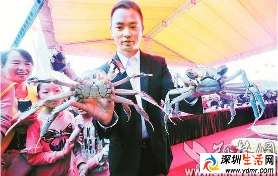 湖北梁子湖畔出蟹王蟹后:竞拍价达21万
