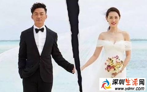 王宝强代理律师张起淮曝王宝强马蓉离婚案内幕 张起淮简历