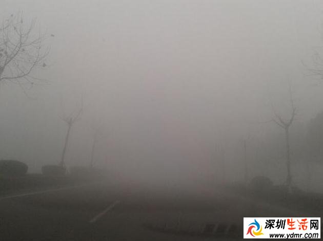 雾天开车速度多少合适?雾天行驶开什么灯?雾天行车安全注意事项
