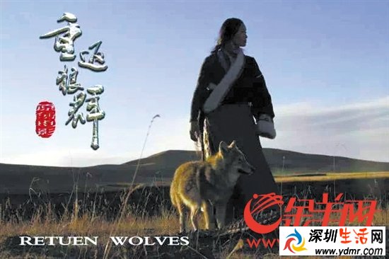 今年纪录片节囊括《我在故宫修文物》《重返狼群》《人间世》《伴我高飞》等片子