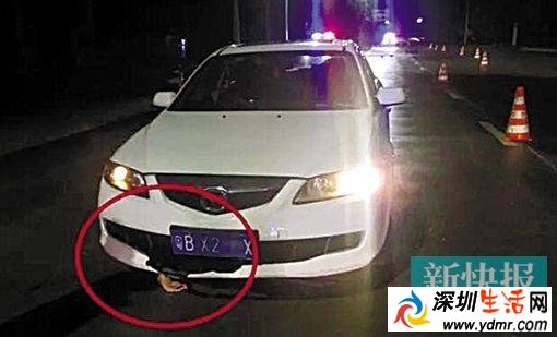 女司机夜驾,忽然发现车底一只血淋淋的手……