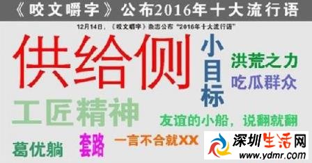 2016十大流行语是什么你“懂”几个?