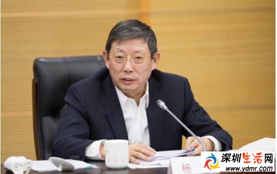 上海市长杨雄辞职原因 杨雄简历资料及照片