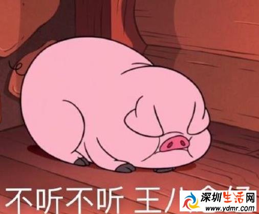 不听不听王八念经什么梗表情包 不听不听王八念经出处