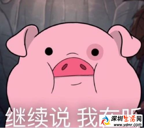 不听不听王八念经什么梗表情包 不听不听王八念经出处