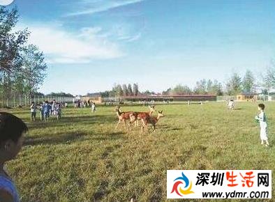 斥资百万校园内建动物园饲养30多种动物 封丘县实新学校老板是谁