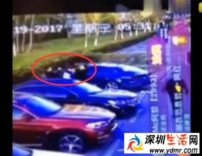 快手仙洋暴打浩南怎么回事?快手仙洋暴打浩南视频完整版