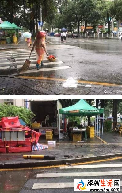 有一种速度叫深圳交警!网友:这样的效率看谁敢逃逸