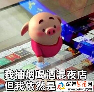 猪小屁是什么梗?猪小屁表情包搞笑视频
