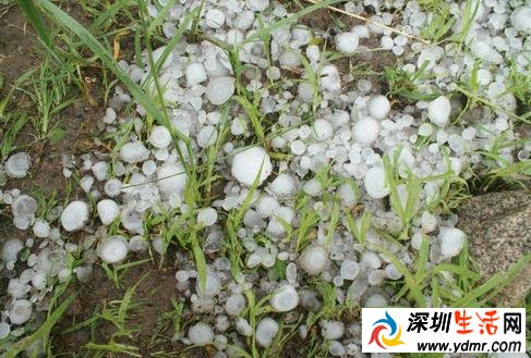 夏天为什么会下冰雹 夏天冰雹是怎样形成的