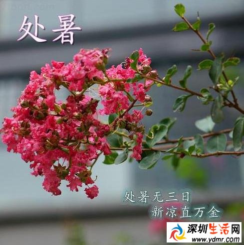 处暑代表什么 处暑的习俗有哪些