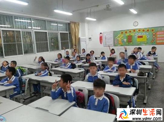 2018深圳罗湖区小一学位申请即将开始 网上申请时间为4月23日—5月2日