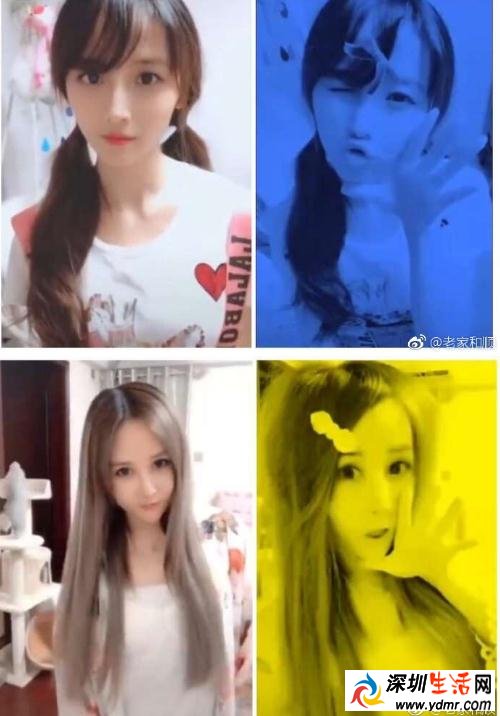 葬爱家族创始人为什么坐牢?葬爱家族回归2018啥梗