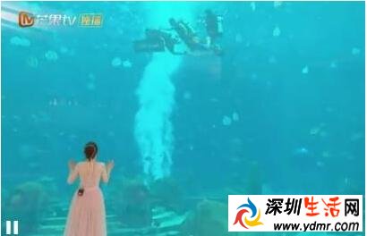 郭晓东水下求婚程莉莎网友:又真是又有爱!