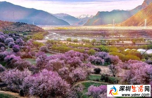 盘点3月适合旅游的地方 3月适合国内旅游的地方