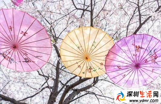 盘点3月适合旅游的地方 3月适合国内旅游的地方