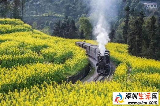 盘点3月适合旅游的地方 3月适合国内旅游的地方