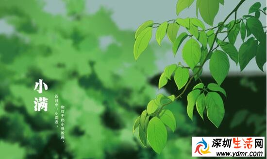 2019年小满节气是几月几日 小满要做什么