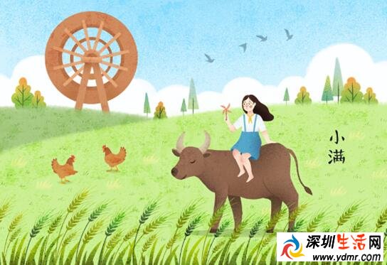 2019年小满节气是几月几日 小满要做什么
