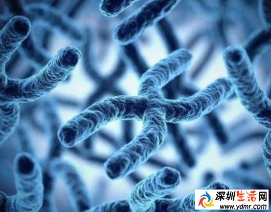 2019年世界渐冻人日时间【6月21日】 渐冻人特征