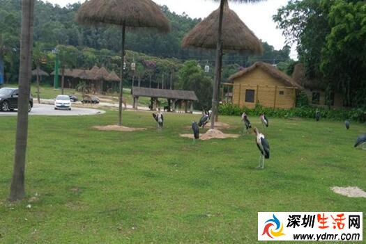 广州带小孩去广州哪里好玩?最适合亲子游的地方