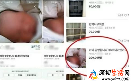 “36周宝宝求领养!”10月16日,韩国二手交易网站上,一则出售婴儿的帖文引发社会关注。发帖人标价为20万韩元(约合人民币1200元),并附上一张襁褓中婴儿的照片,地点标注在济州道西归浦。 ▲二手网站上“36周宝宝求领养”的帖子 据韩国《亚洲经济》报道,韩国济州道政府20日消息称,经过调查发现,发帖女性A某是一名年轻的未婚妈妈,因经济困难才将孩子放在网上寻求领养人。而事件中的婴儿,已经被送往一处婴幼儿托管机构。 A某在接受警方调查时表示,因为自己和孩子的生父无抚养孩子的经济能力,所以决定将孩子送人。A某还称,自己在网络上发帖前曾经询问了相关领养机构,但由于程序复杂、条件苛刻,她只好将孩子放在二手交易网站上。 ▲西归浦警察署(JIBS电视台) 由于人口出生率常年低迷,韩国政府出台多项优惠政策鼓励民众多生育,同时还出台相关措施保护单身妈妈的权益。但随着“二手网站卖婴儿”事件不断发酵,政府对单身妈妈养育子女的相关政策不断遭到批评。