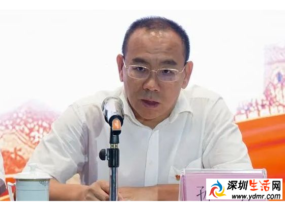 海南省海口市人民政府原党组成员、副市长孙被开除党籍和公职具体原因