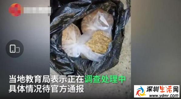 洋河南镇滨河幼儿园疑给孩子吃发臭的肉馅 52名学生出现呕吐、腹泻