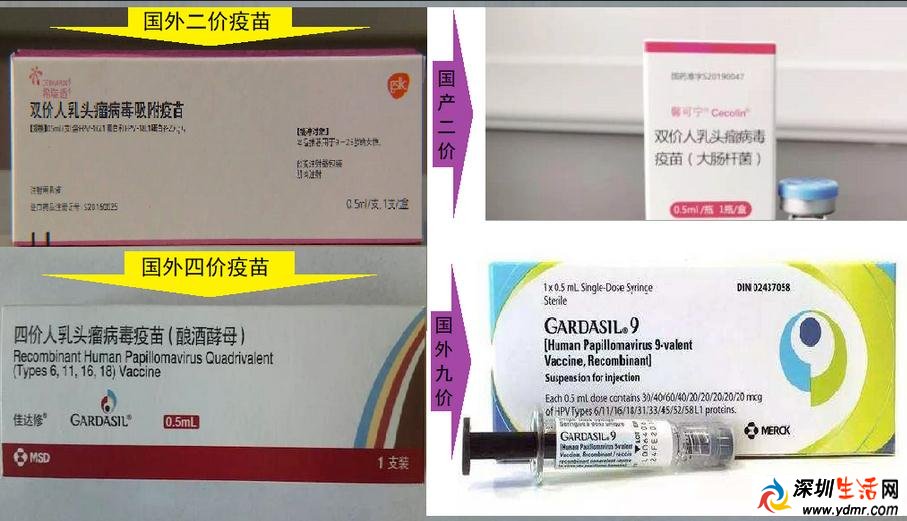 hpv疫苗国产和进口的哪个好