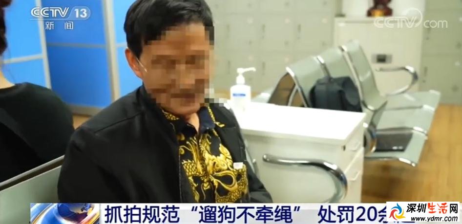 上海遛狗不牵绳行为将被抓拍处罚 具体会怎么处罚?
